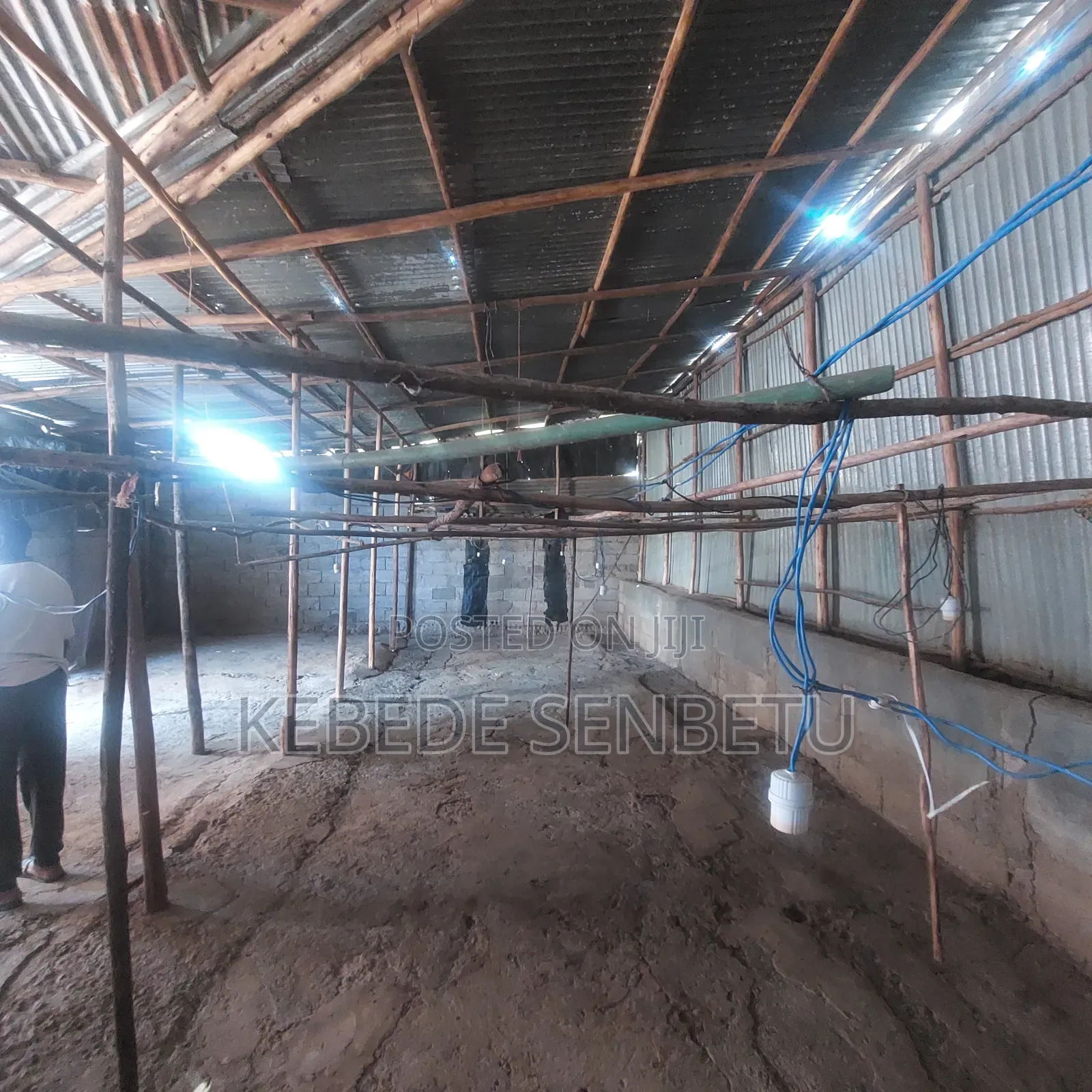 Chicken Ware House for Rent