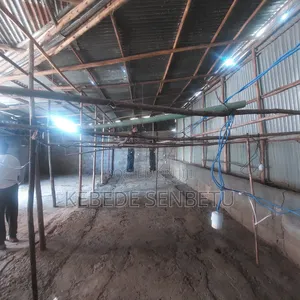 Chicken Ware House for Rent