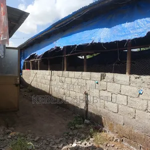Chicken Ware House for Rent
