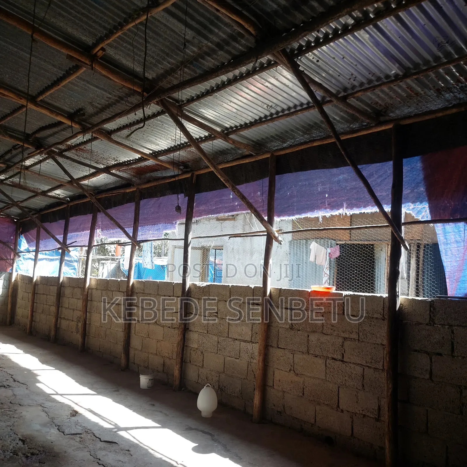 Chicken Ware House for Rent