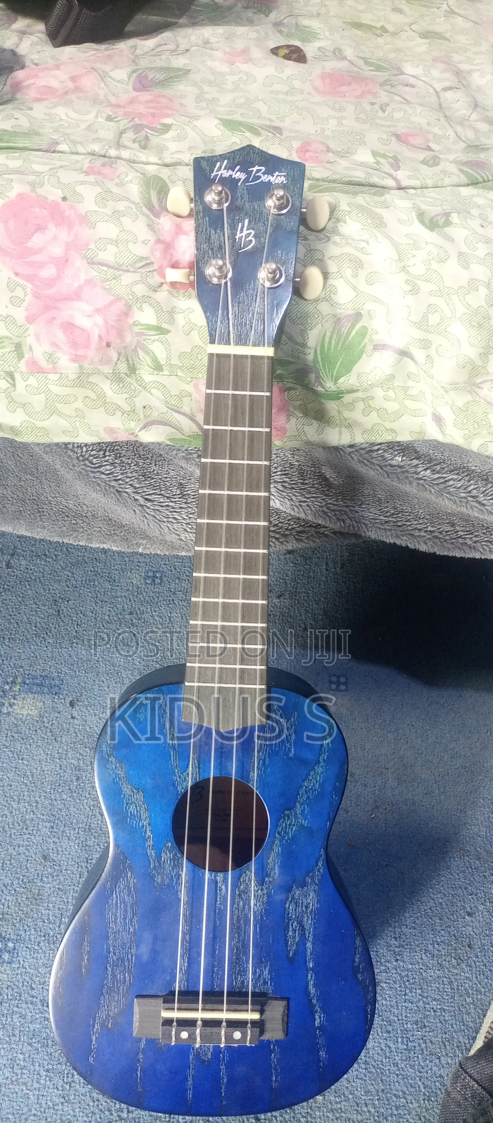 Ukulele (Musical Instrument)