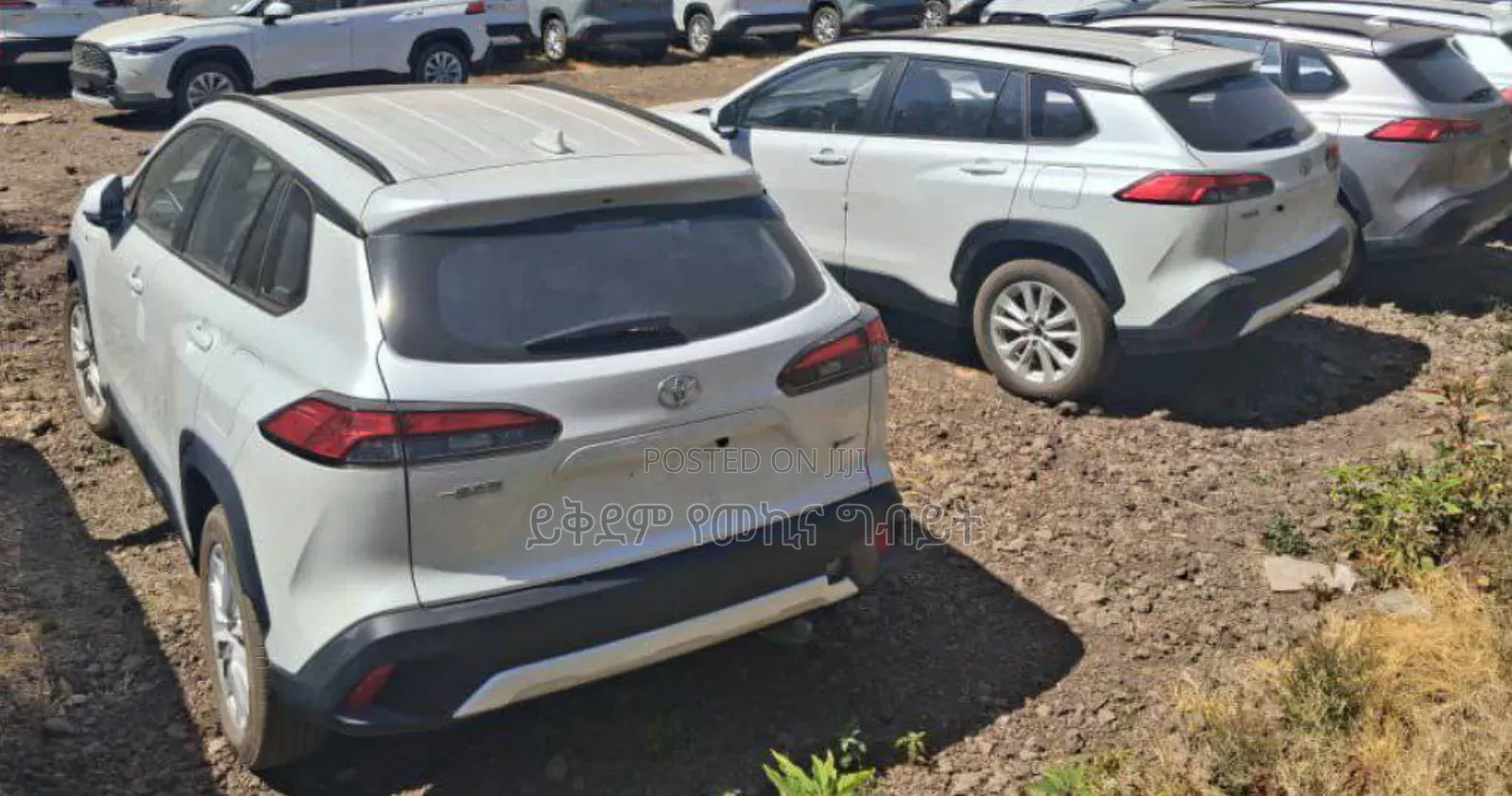 New Toyota Corolla Cross Hybrid 2025 White