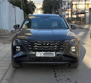 New Hyundai Tucson N Line 2023 Gray