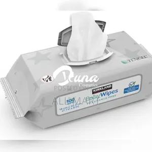 Kirkland Signature Baby Wipes Fragrance Free 100 Wipes