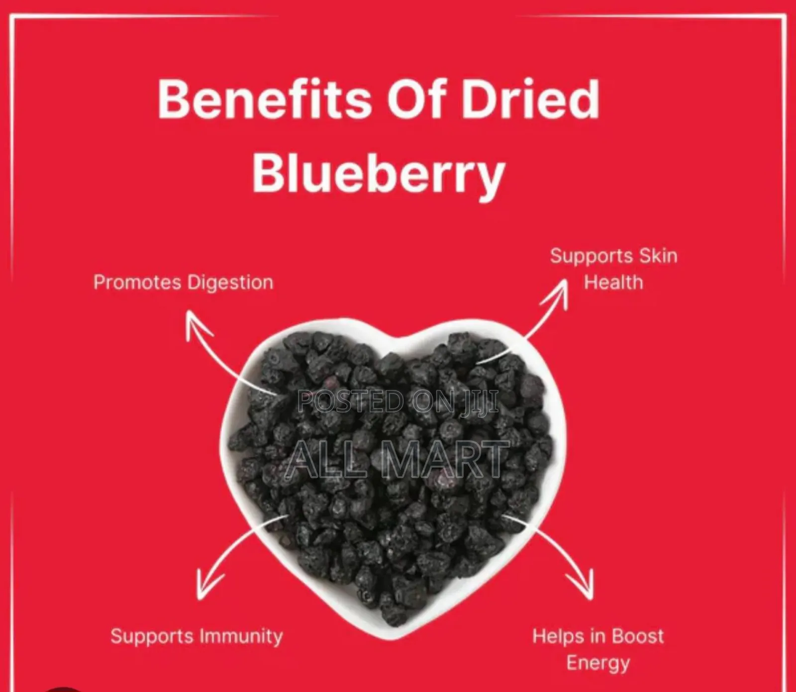 Kirkland Signature Whole Dried Blueberries