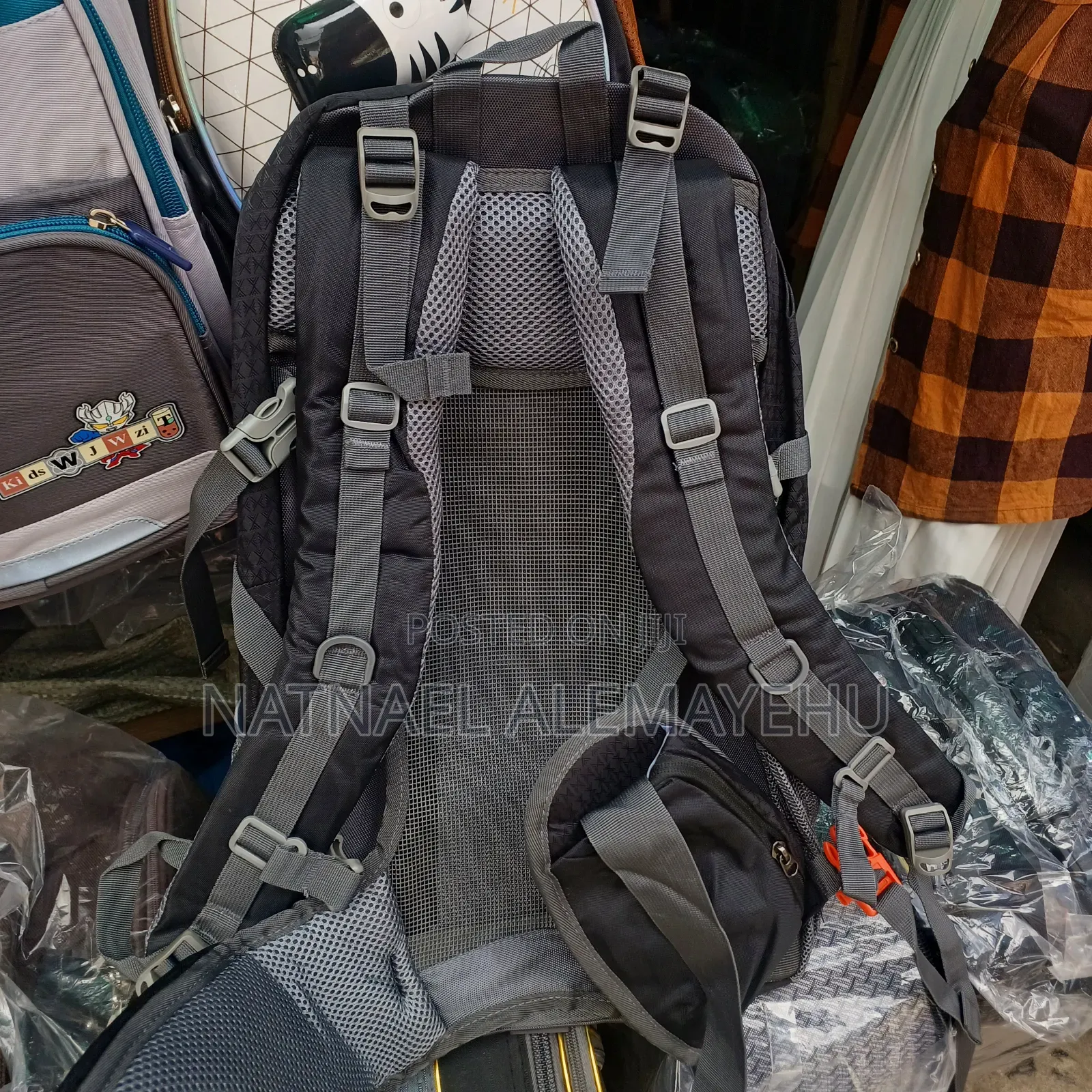 North Face Borealis Hiking Backpack.