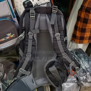 North Face Borealis Hiking Backpack.