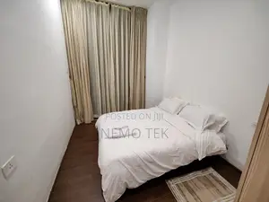 Furnished 3bdrm Apartment in Bole for rent