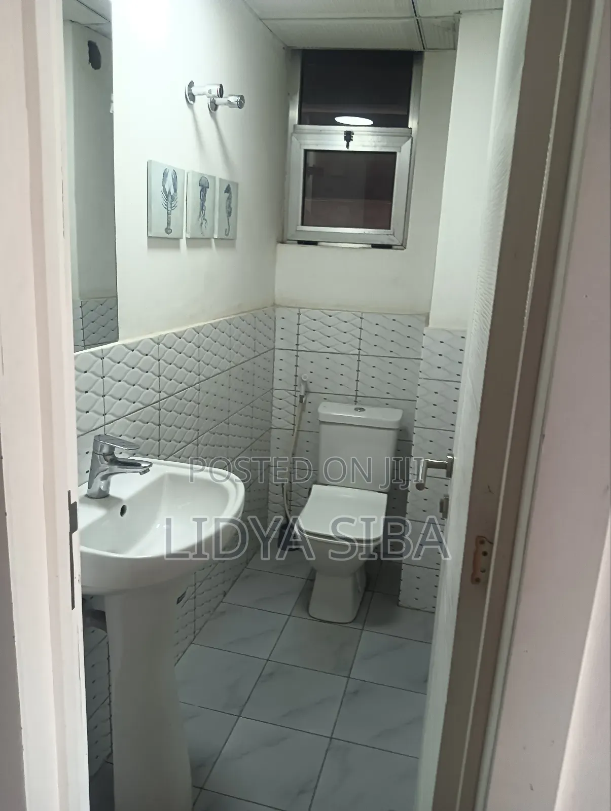 Furnished 3bdrm Apartment in Bole for rent