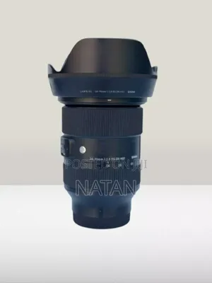 Sigma 24-105mm Mark 1 for Sony Mirrorless Camera