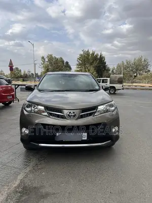 Toyota RAV4 2015 Brown