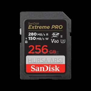 Sandisk Memory Card