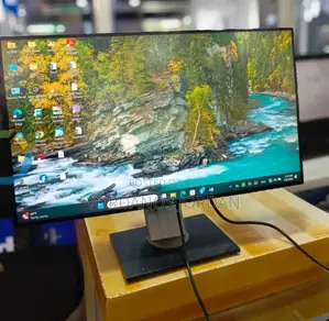 Dell Monitor