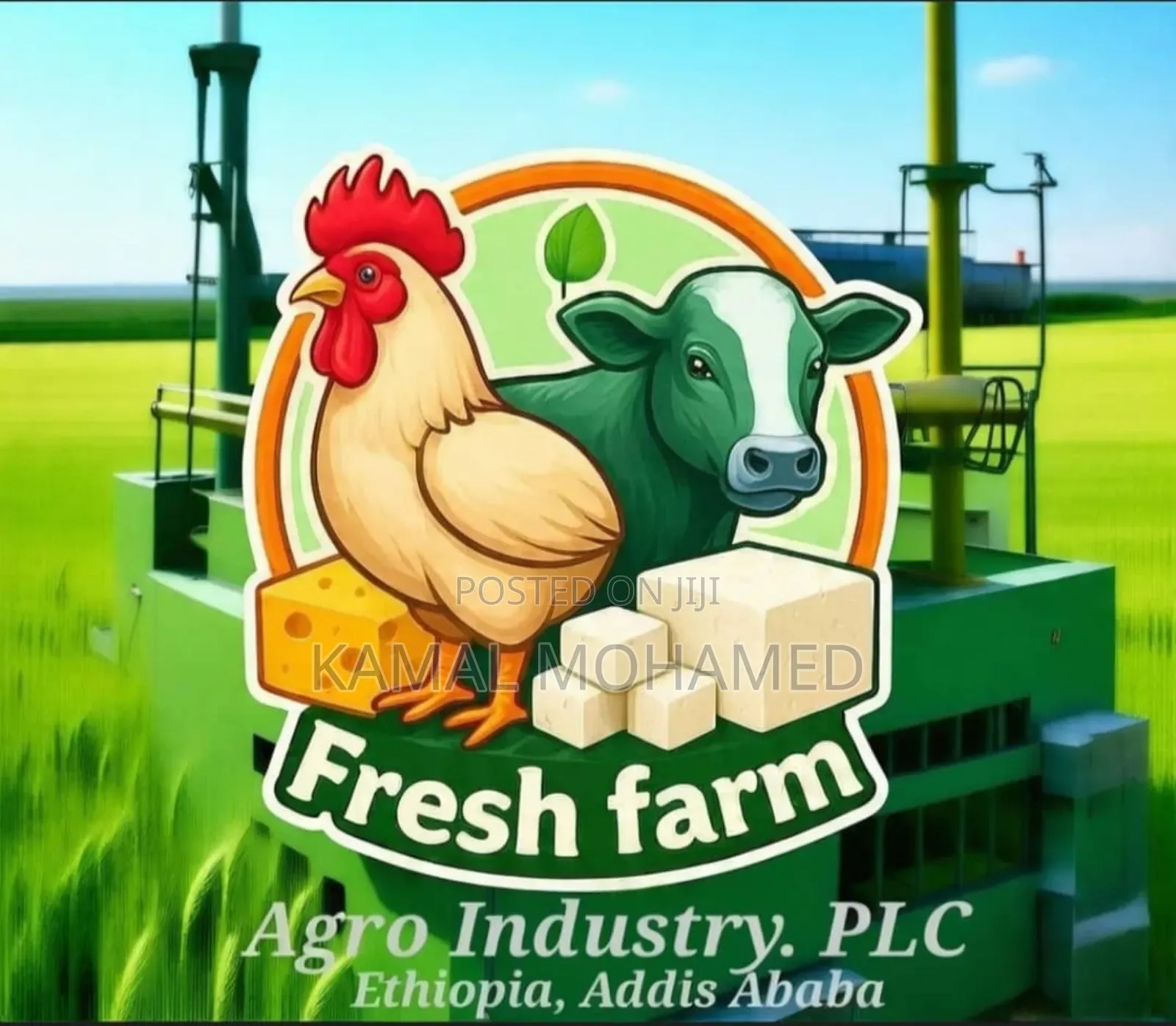 Fresh Farm Rumi Cheese