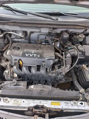 Toyota Corolla 2007 Gray