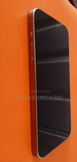 Apple iPhone 15 Pro Max 256 GB Silver