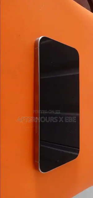 Apple iPhone 15 Pro Max 256 GB Silver