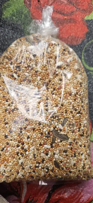 Bird Food1