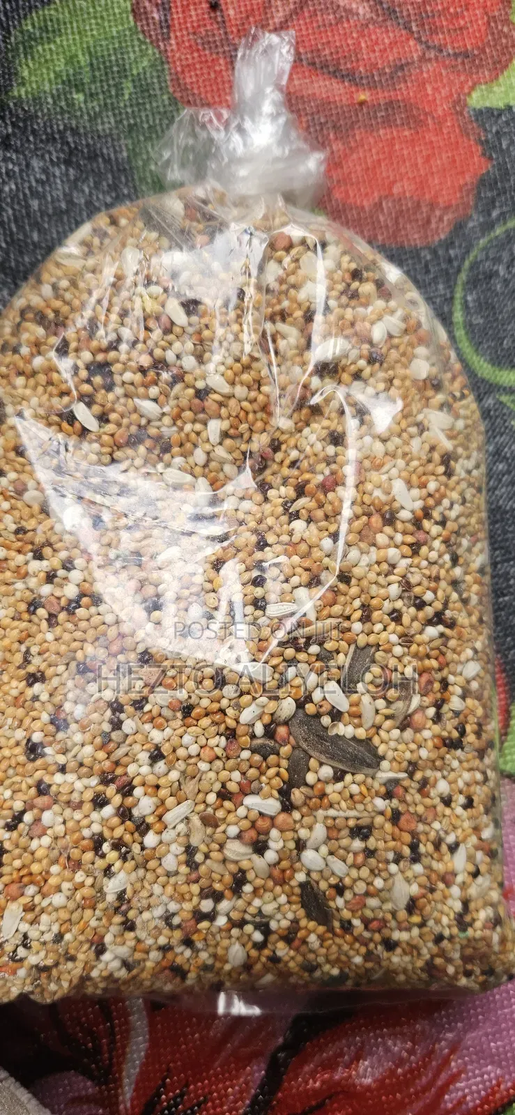 Bird Food1