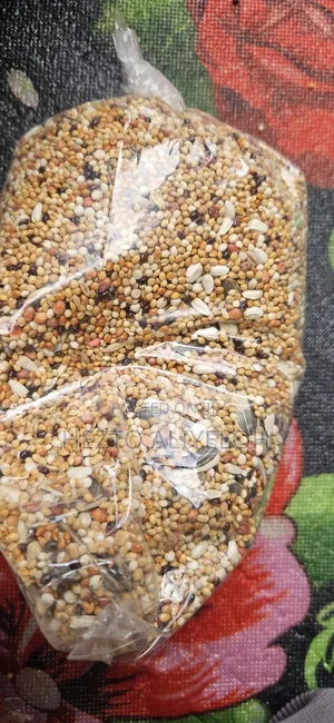 Bird Food1