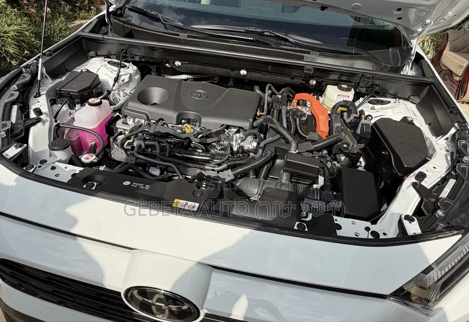 New Toyota RAV4 XLE 2025