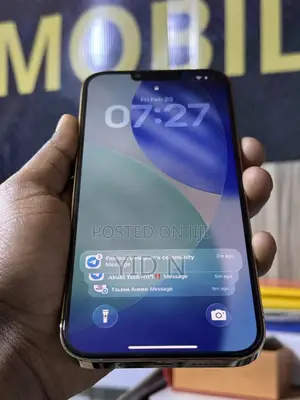 Apple iPhone 13 Pro Max 256 GB Gold