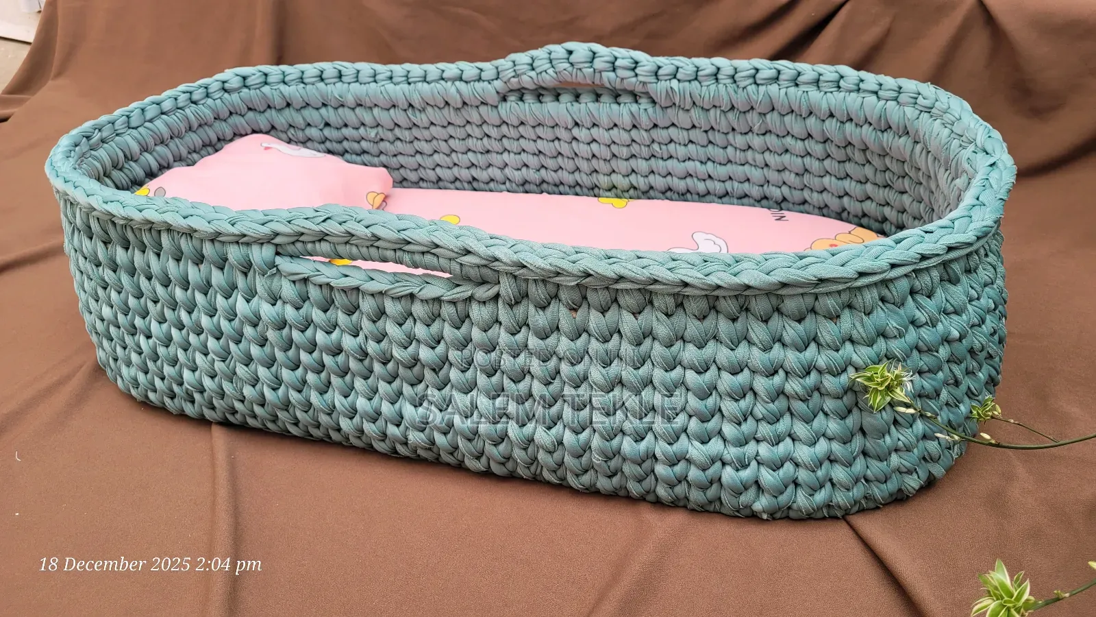 Baby Moses Basket