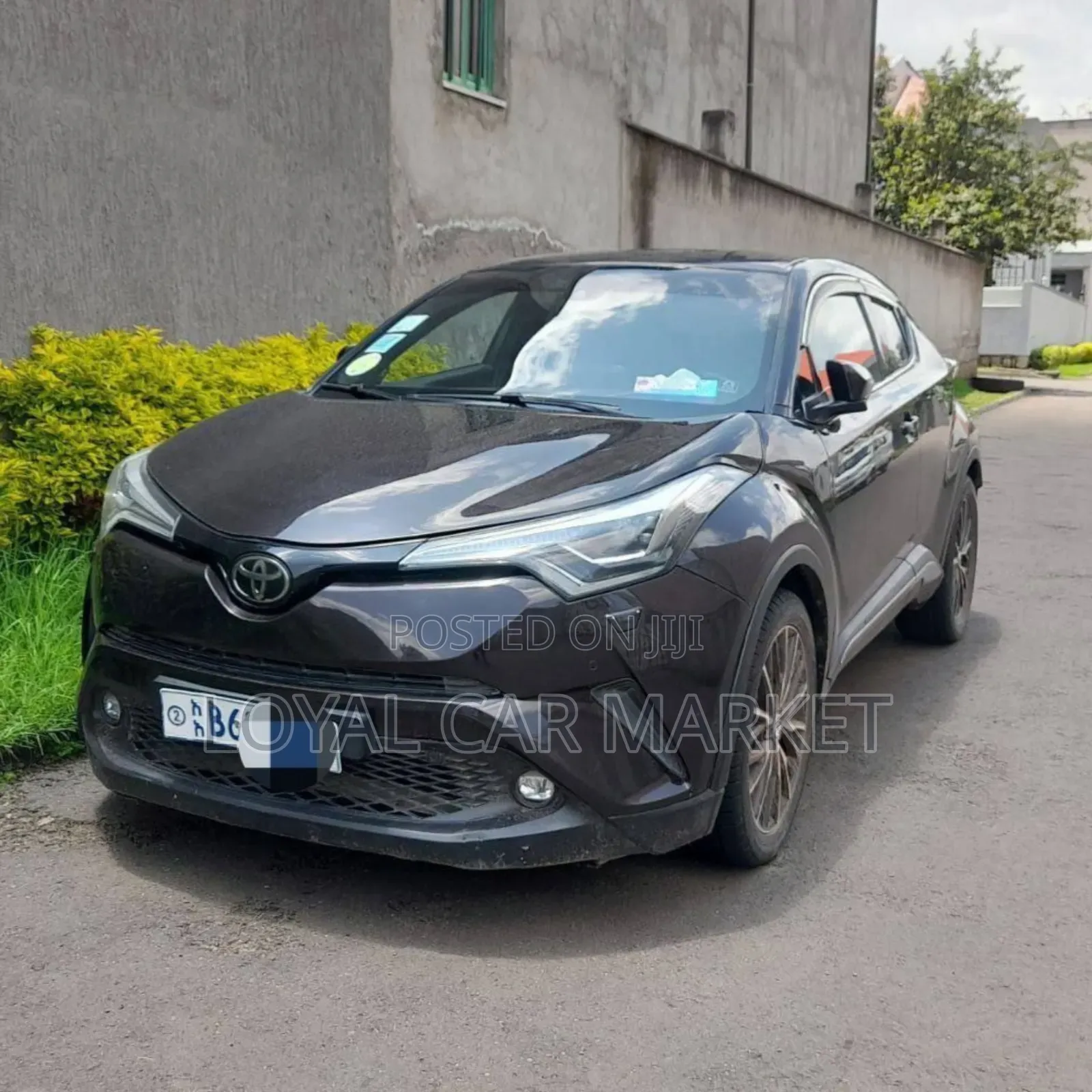 Toyota C-HR 2019 Brown