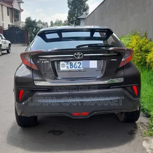 Toyota C-HR 2019 Brown
