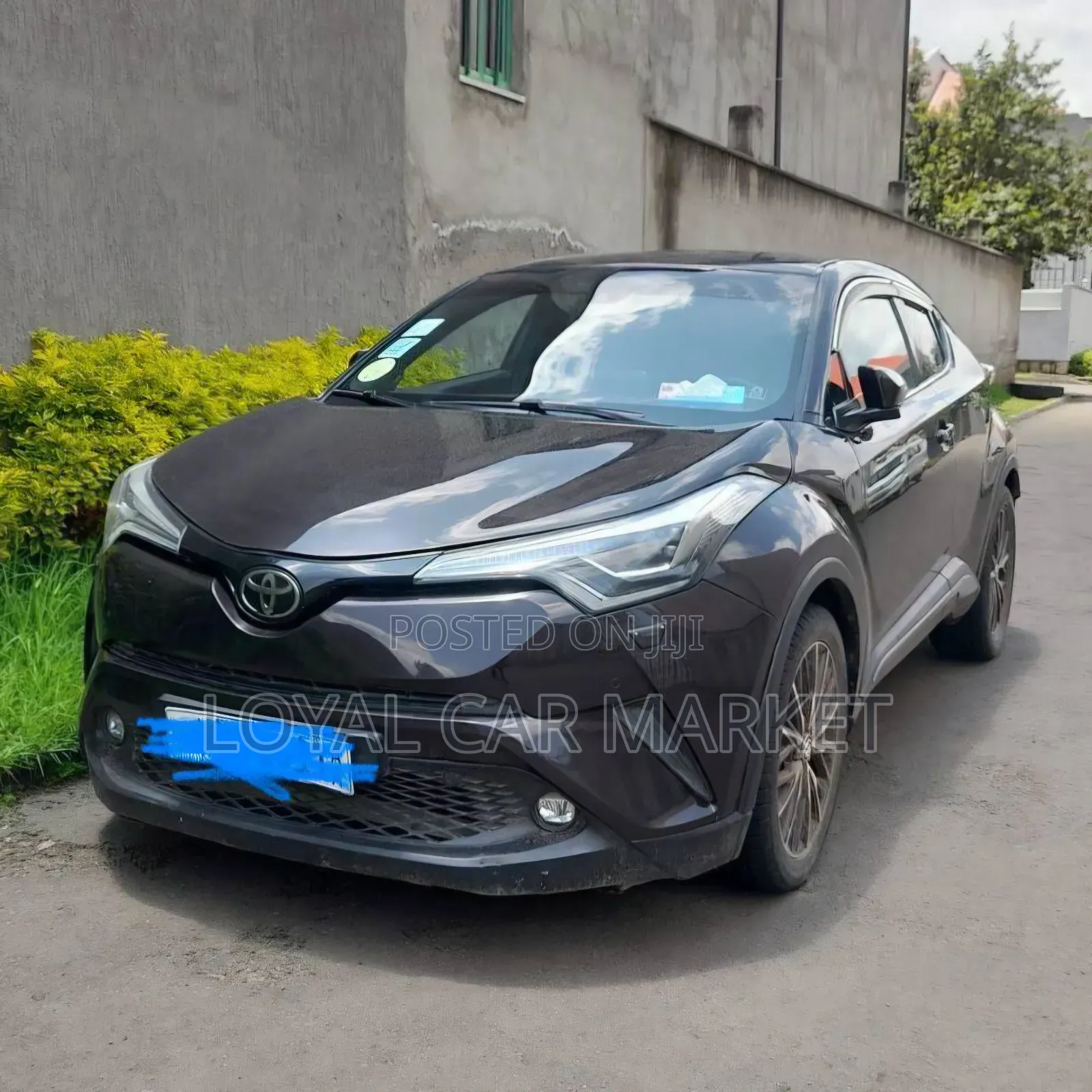 Toyota C-HR 2019 Brown
