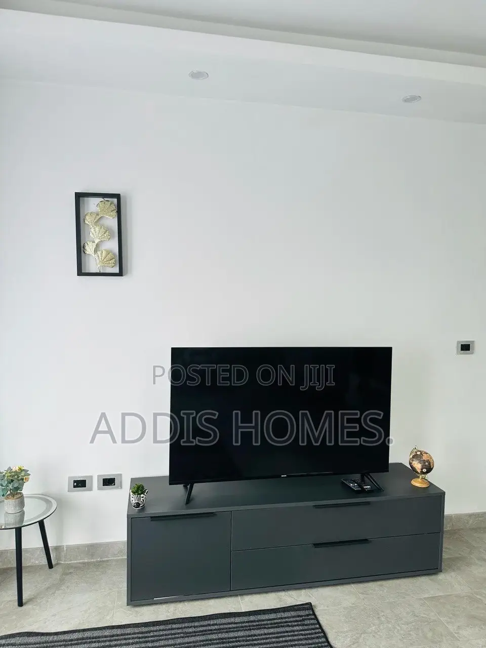 Furnished 3bdrm Apartment in Bole for rent