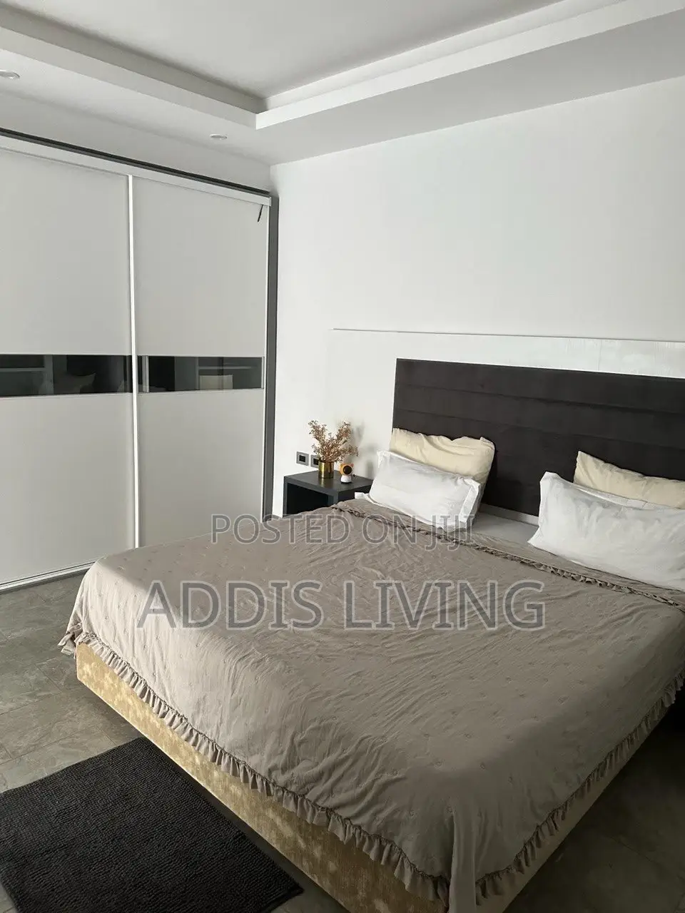 Furnished 3bdrm Apartment in Bole for rent