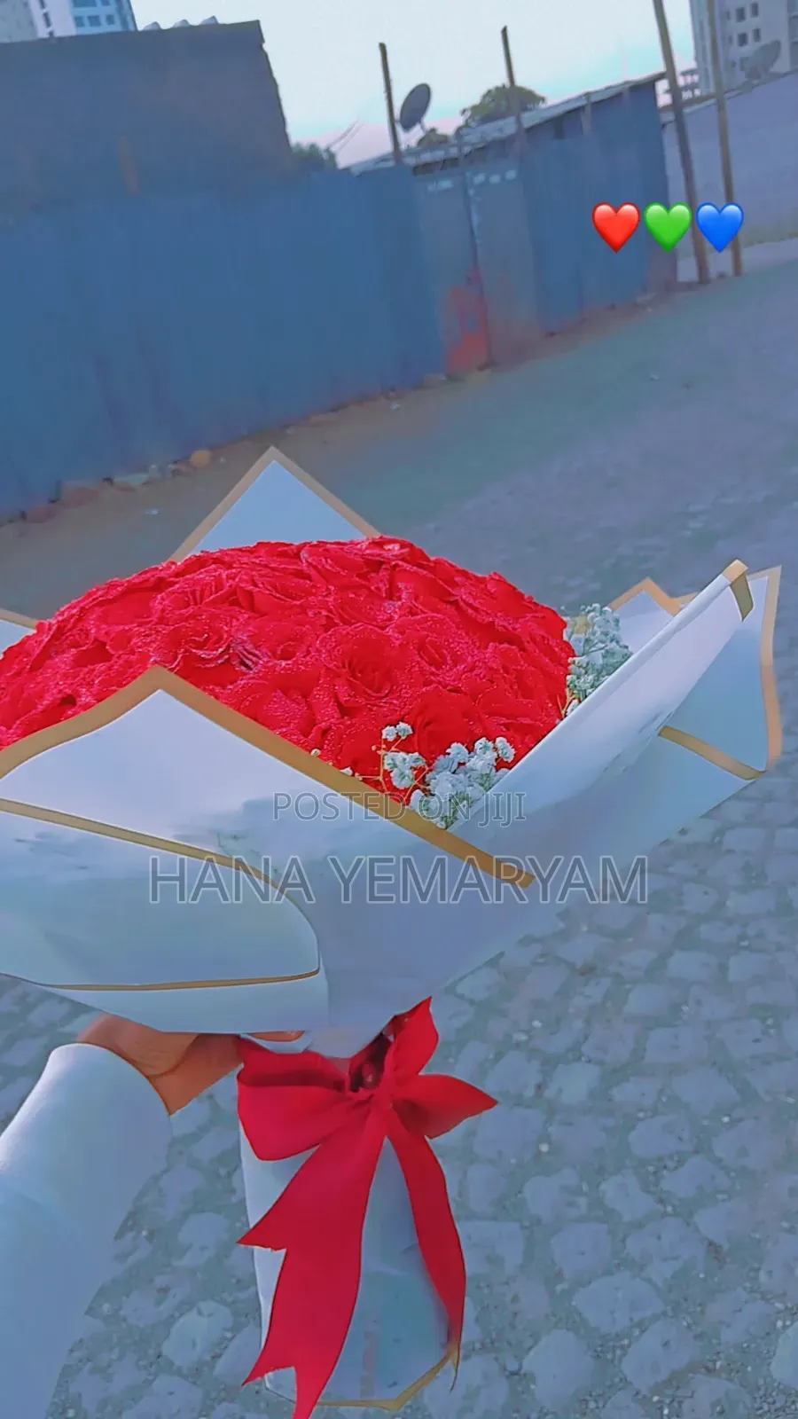 Rose Flower