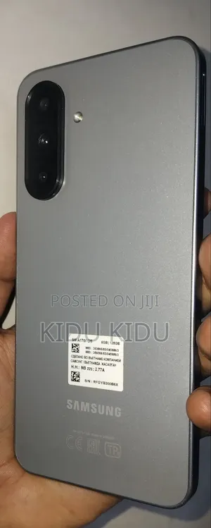 Samsung Galaxy A17 128 GB Gray