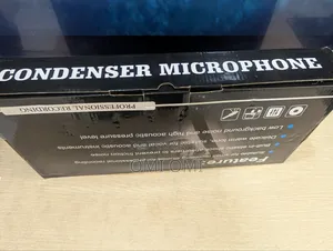Condenser Microphone Mic
