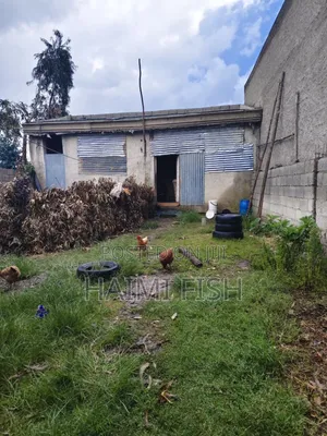 1bdrm House in West Shewa for sale