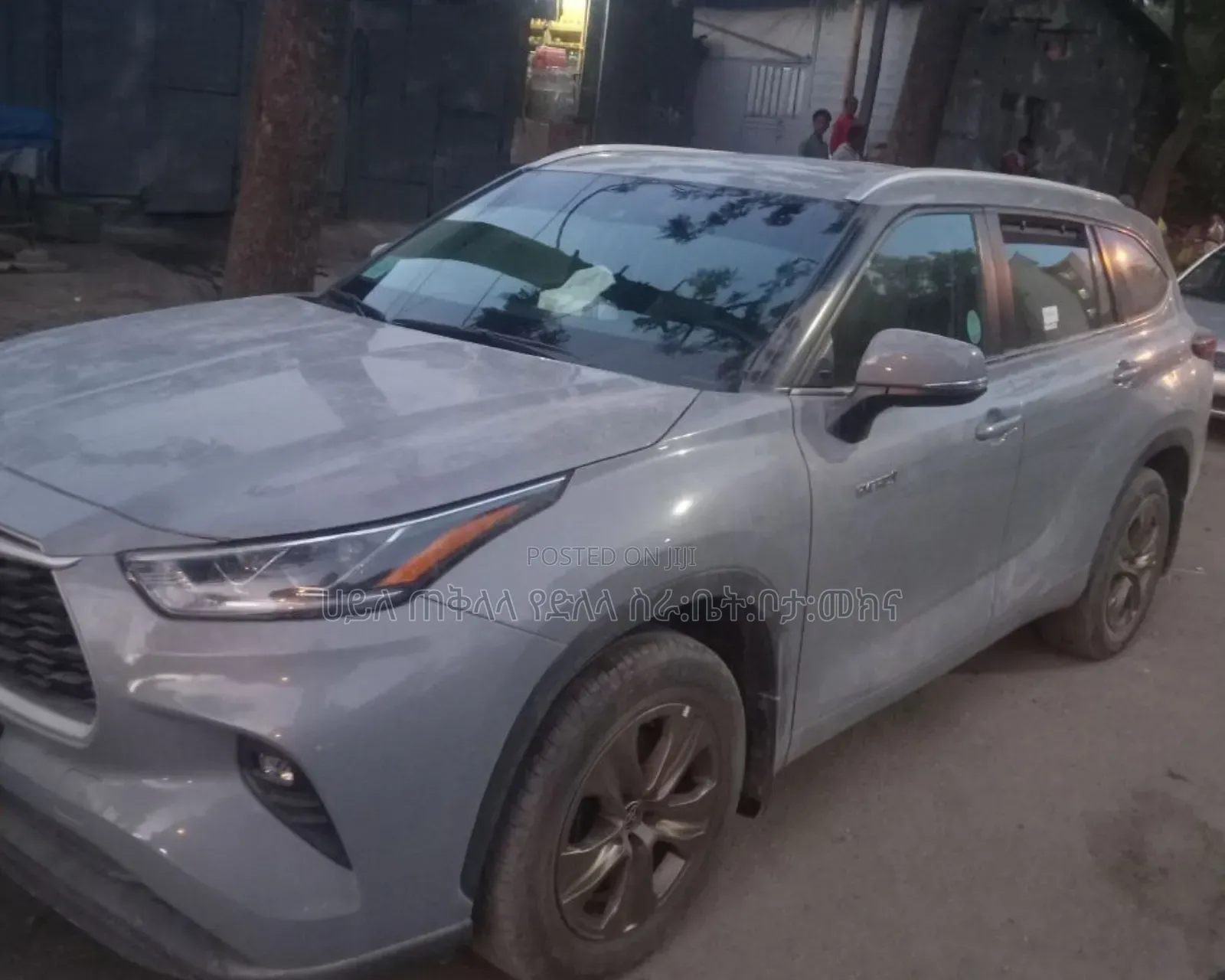 Toyota Highlander Hybrid 2024 Teal