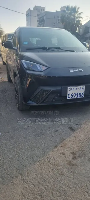 BYD Seagull 2024 Black