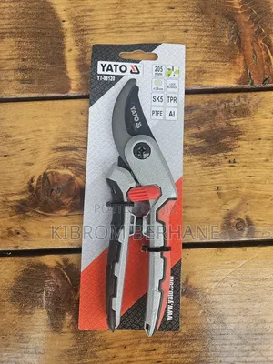 Pruning Scissors