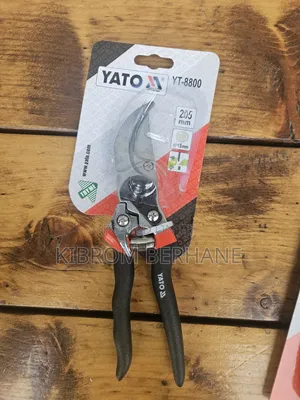 Pruning Scissors