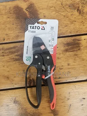 Pruning Scissors