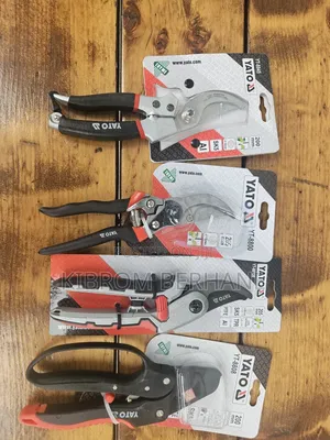 Pruning Scissors