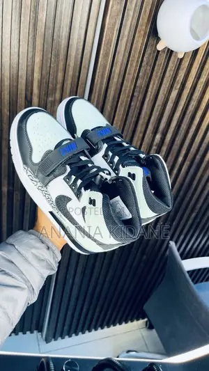 Lgloo Color Way Legacy Air Jordan 312