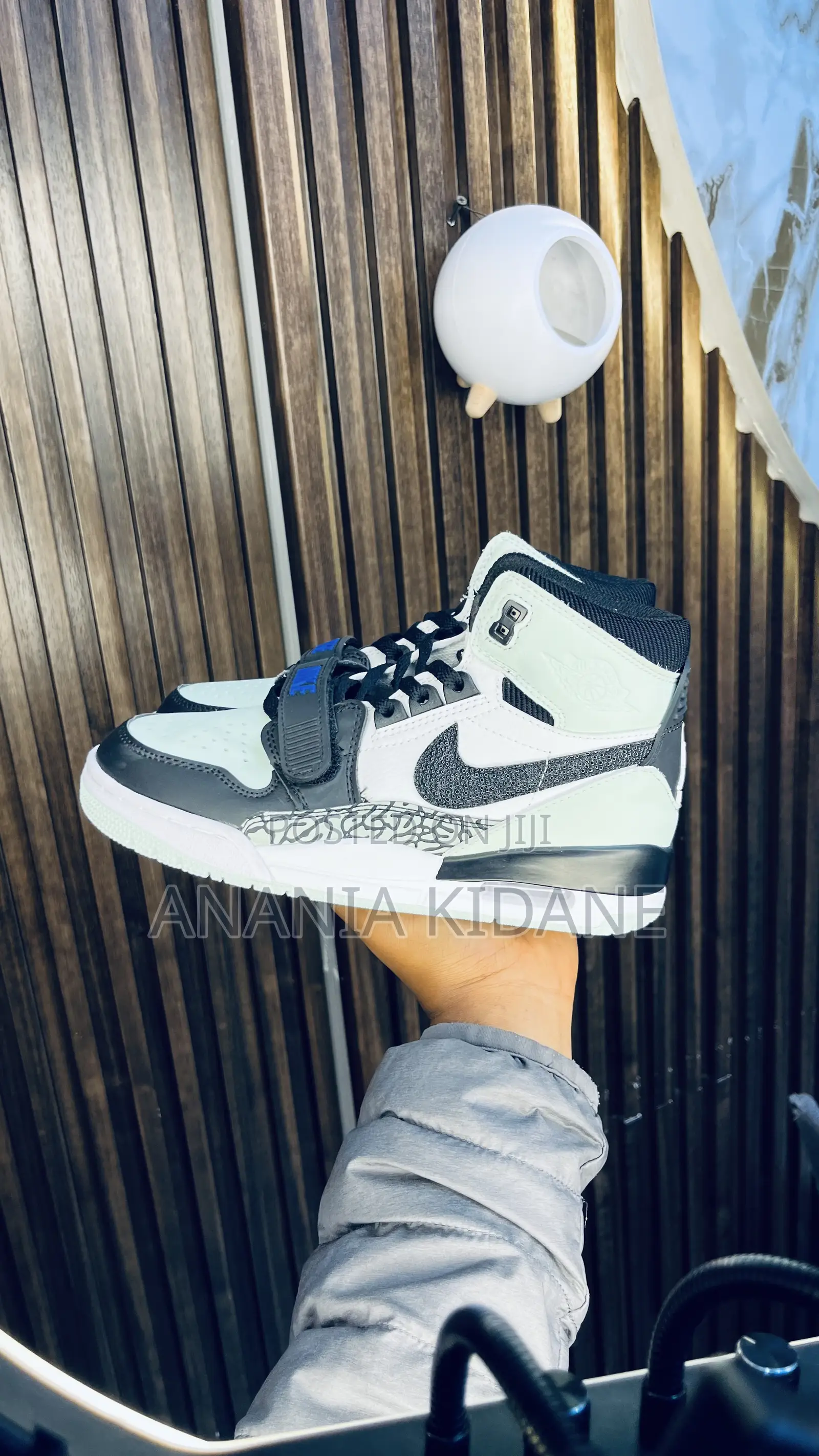 Lgloo Color Way Legacy Air Jordan 312