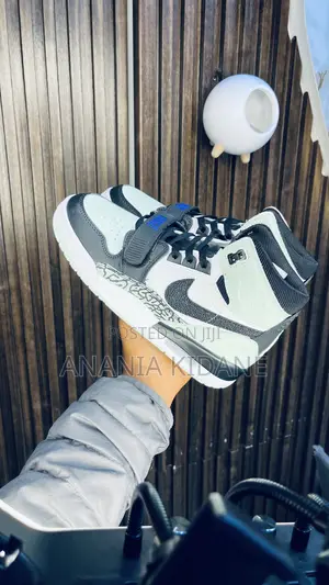 Lgloo Color Way Legacy Air Jordan 312