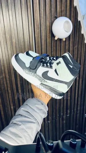 Lgloo Color Way Legacy Air Jordan 312