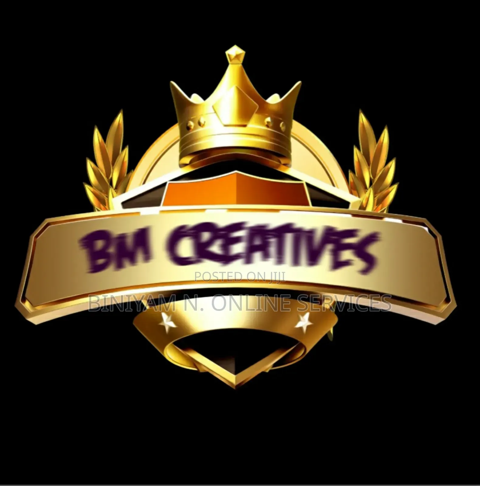 Professional Graphic Designer | Logo, Flyers, Social Media Designs