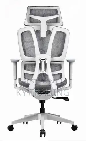 Full Mesh Ergonomic Chair (Too Relaxed)