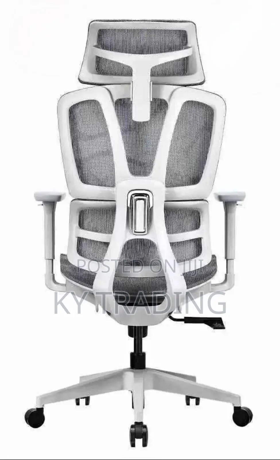 Full Mesh Ergonomic Chair (Too Relaxed)