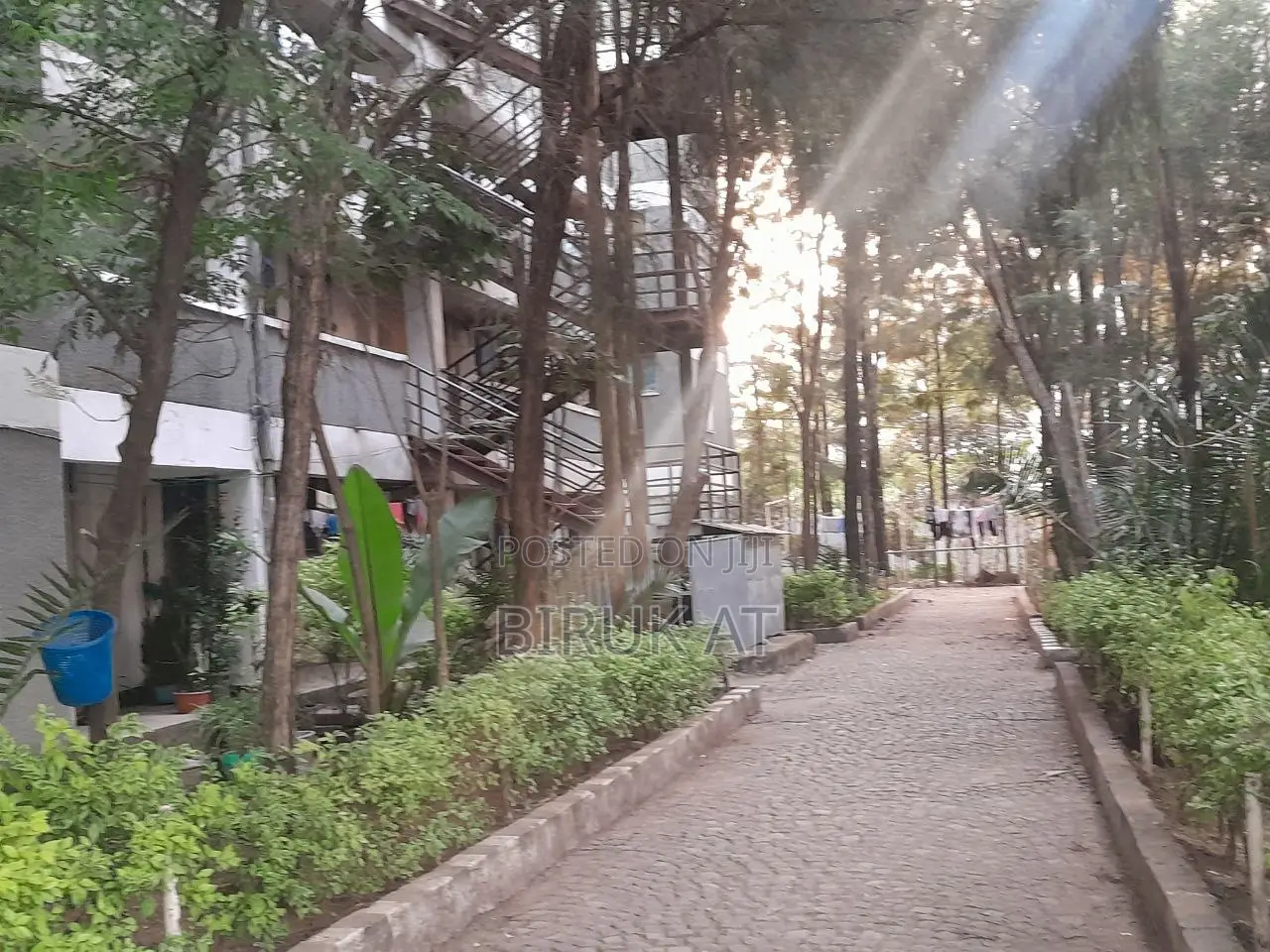 Furnished 2bdrm Condo in Bole for sale